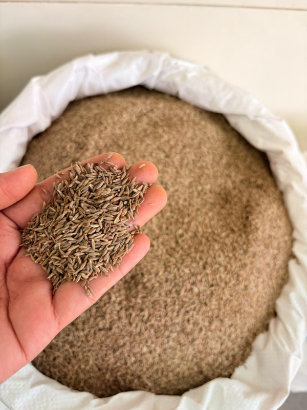 Cumin and powder