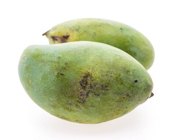 Langda mango