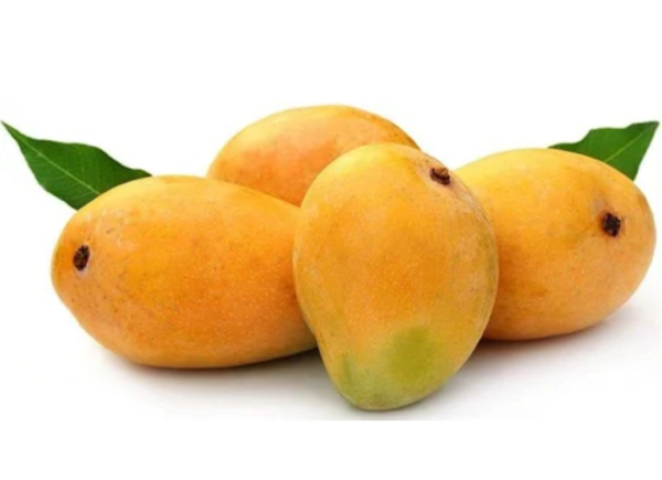 Alphanso mango