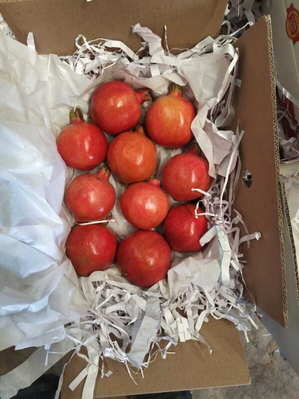 Natural Fresh Pomegranate  from Exporters in India