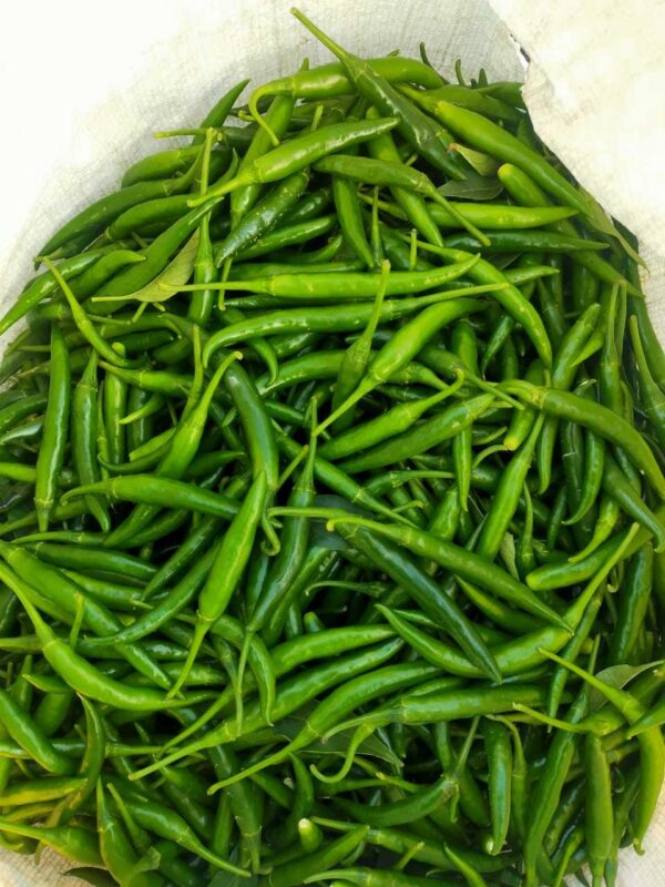 Green Chilli Exporters / Suppliers in India