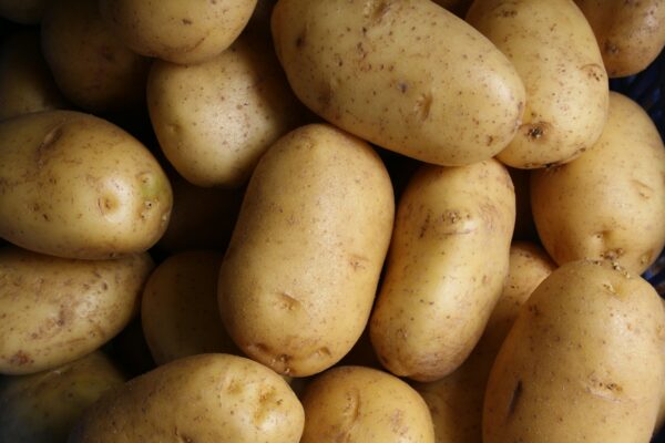 Indian potato