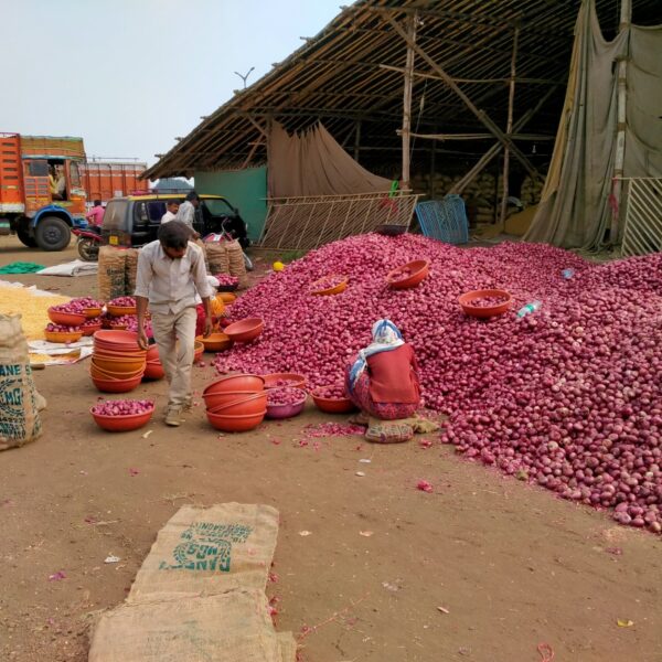 ONION