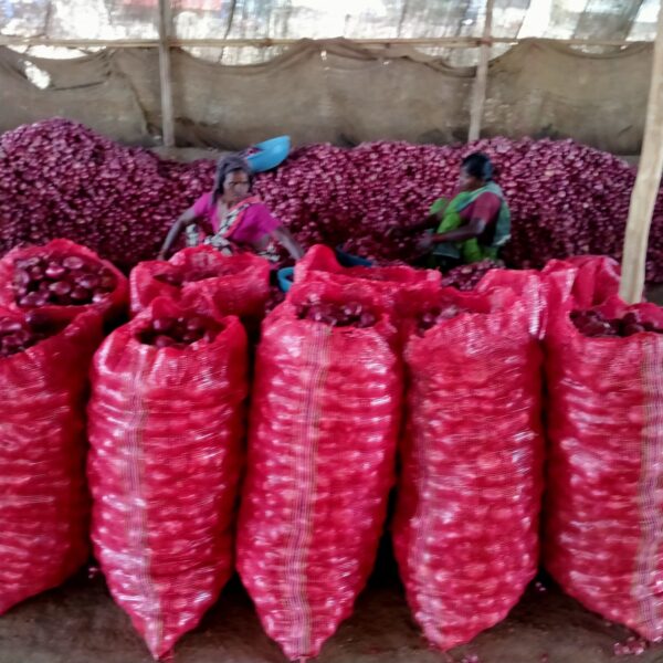 ONION